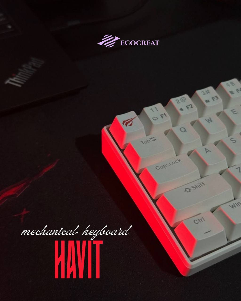 photo_1_2025-09-23_19-25-39